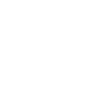Ronin Construction Ronin Construction